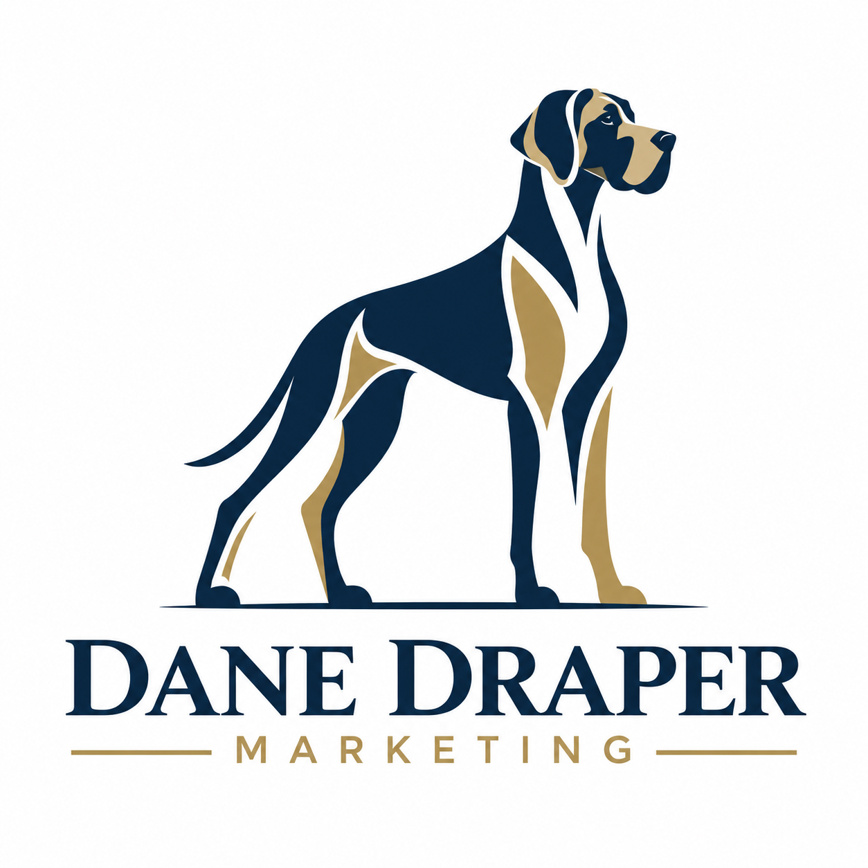 Dane Draper Marketing